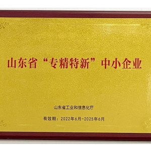 山東省“專精特新”中小企業(yè)